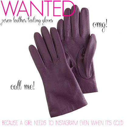WANTED_JCrew Leather Texting Gloves